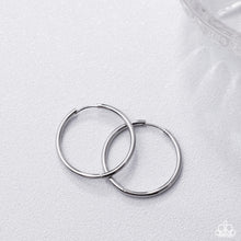 Load image into Gallery viewer, Surmounting Sheen - Silver